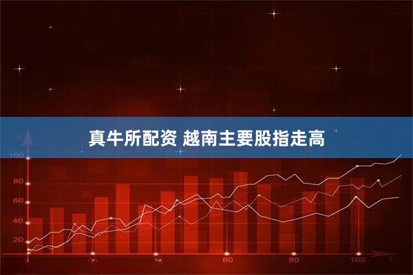 真牛所配资 越南主要股指走高